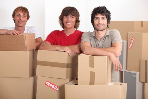 Professional movers handling boxes for a small removal in Downham